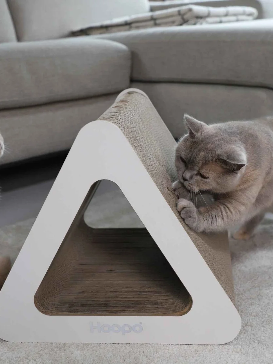 A close-up view of a grey British Shorthair cat scratching its claws on a modern white triangular cardboard cat scratcher in a living room setup.